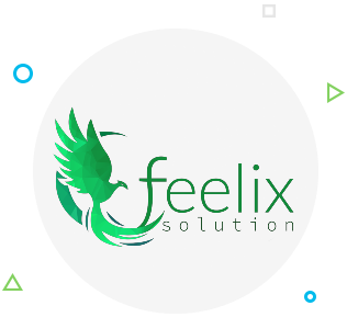 feelixsolution